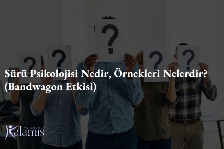 Sürü Psikolojisi Nedir, Örnekleri Nelerdir? (Bandwagon Etkisi)