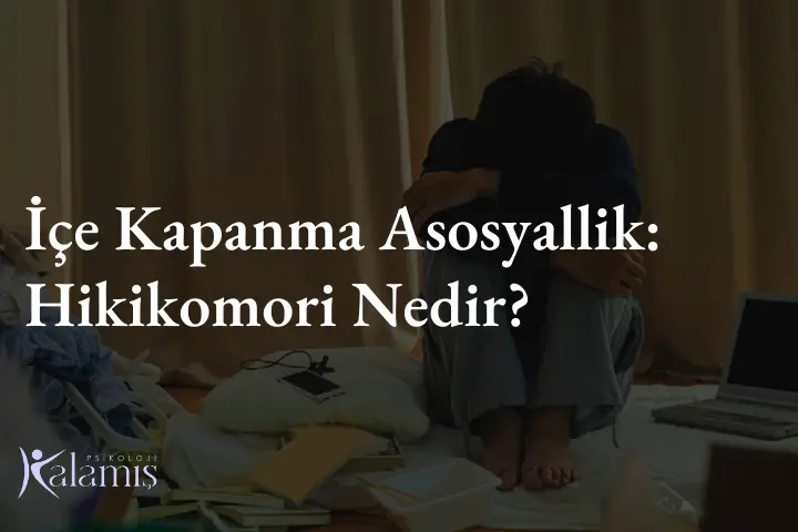 İçe Kapanma Asosyallik: Hikikomori Nedir?