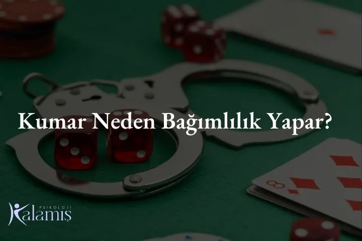 Kumar Neden Bağımlılık Yapar?